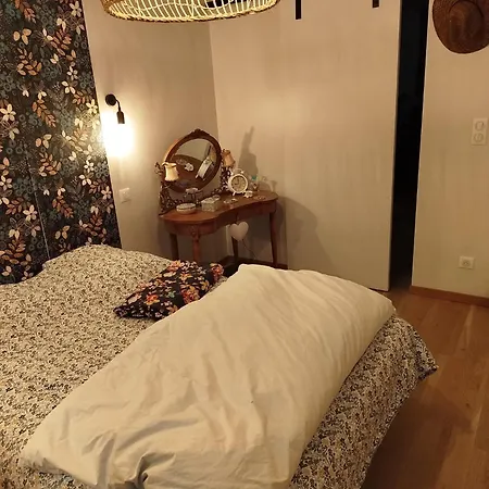 Grande Cosy Avec Salle De Bain Proche Centre Bed & Breakfast Le Mans