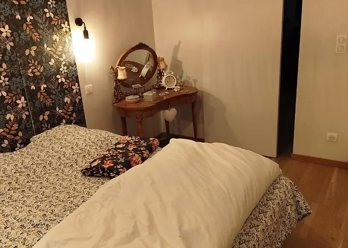 Grande Cosy Avec Salle De Bain Proche Centre Frühstückspension Le Mans